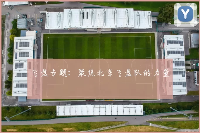 飞盘专题：聚焦北京飞盘队的力量