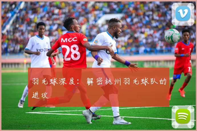 羽毛球深度：解密杭州羽毛球队的进攻