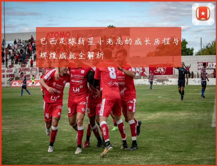 巴西足球新星小老虎的成长历程与辉煌成就全解析